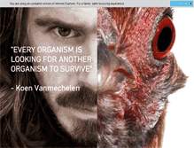 Tablet Screenshot of koenvanmechelen.be